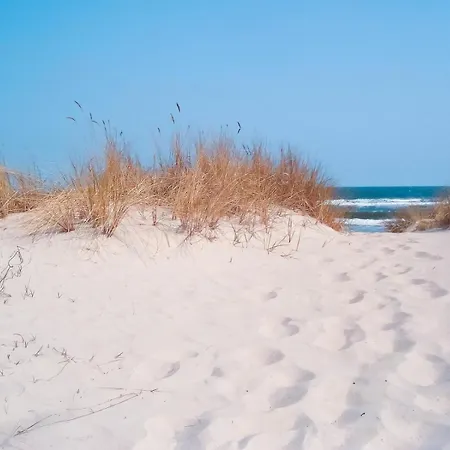 In Den Duenen 282 - 度假居 *