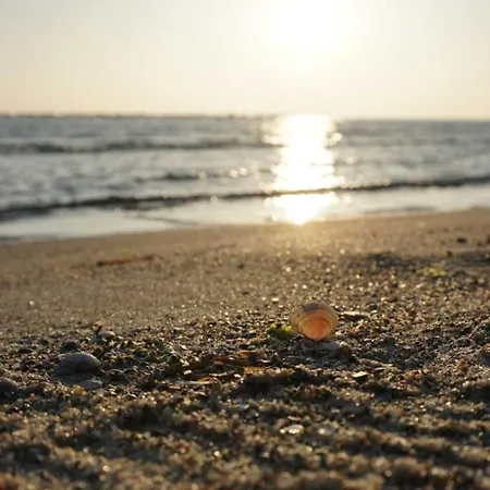 度假居 In Den Duenen 282 - *