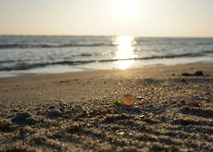 Tatil Evi In Den Duenen 282 - *